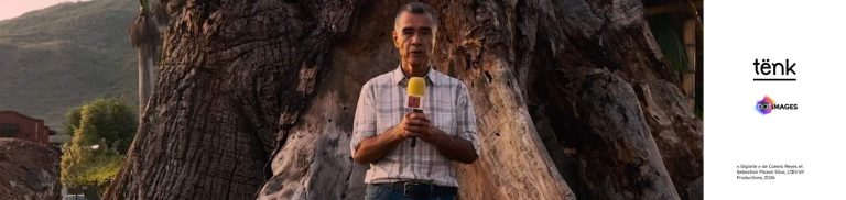 en-tete-avec-logos-off-tenk.com_-2048x486