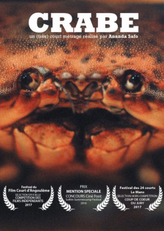 Logo de la page CRABE