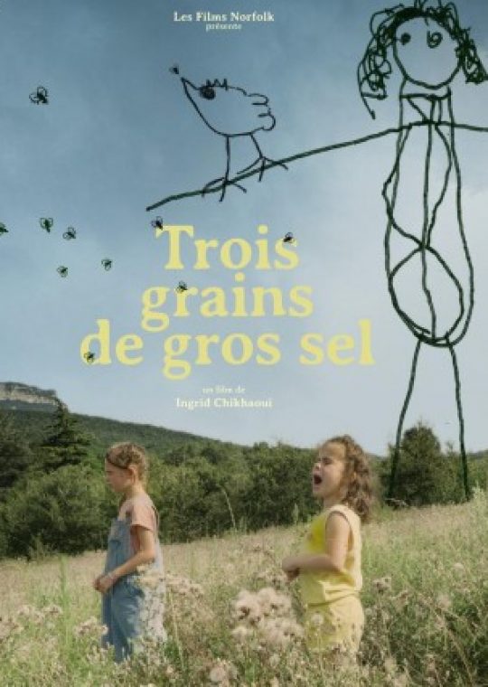 Logo de la page Trois grains de gros sel