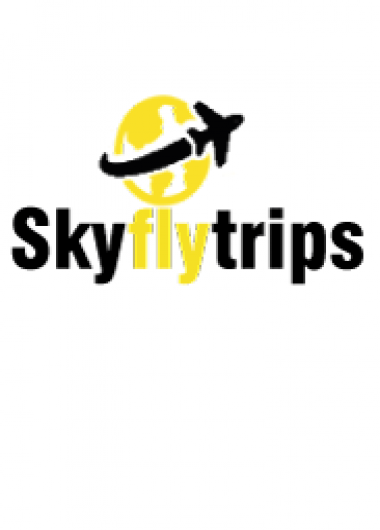 Logo de la page Sky Fly Trips - Cheap Flight Booking