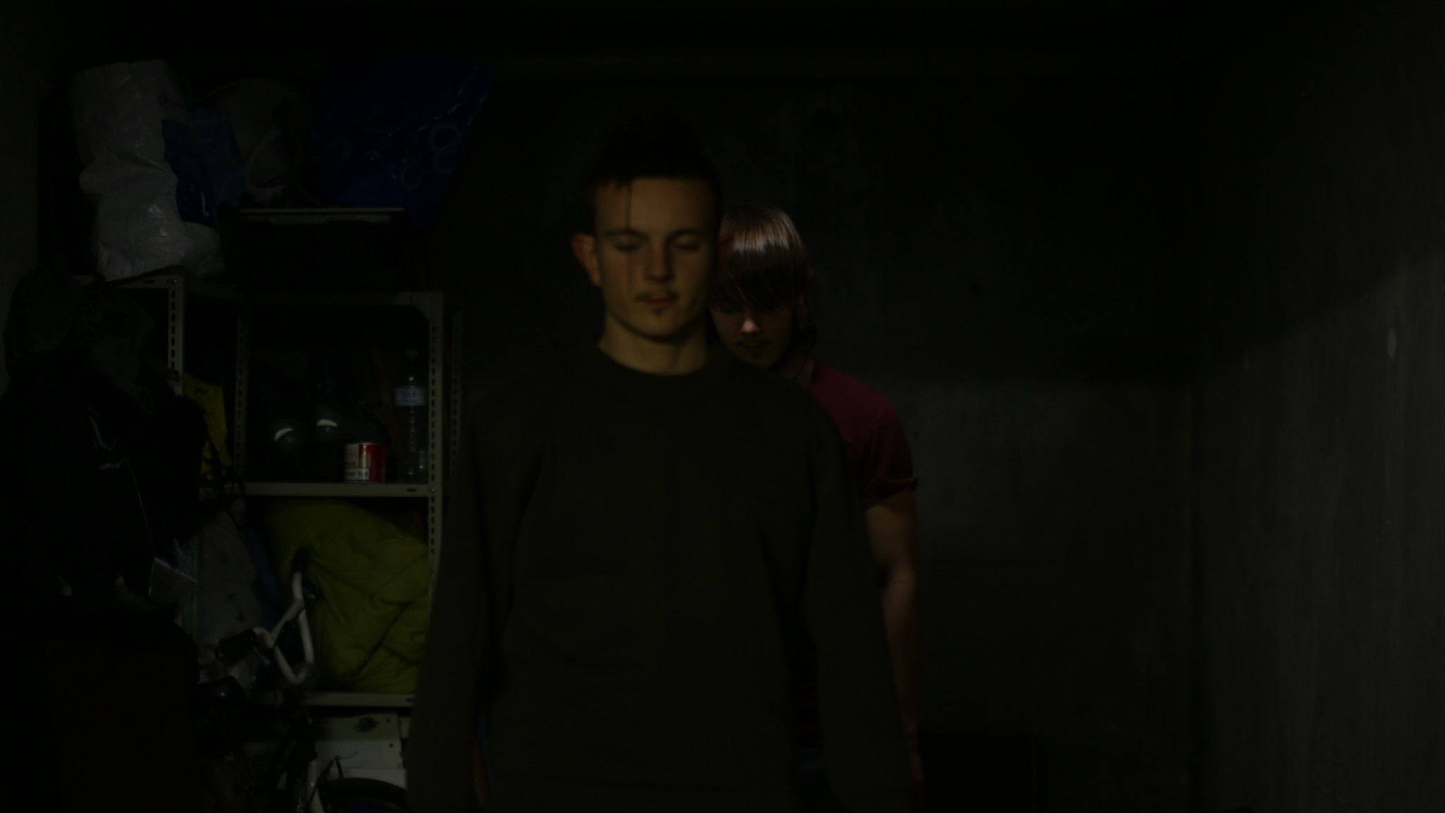 Pas Comme Des Loups Streaming PAS COMME DES LOUPS / ENTRETIEN AVEC VINCENT POUPLARD - La Plateforme
